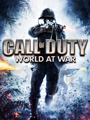 call of duty waw server hosting