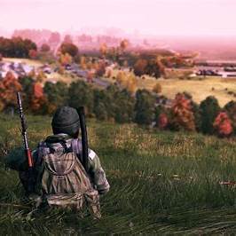 DayZ server hosting with high performance and DDoS protection